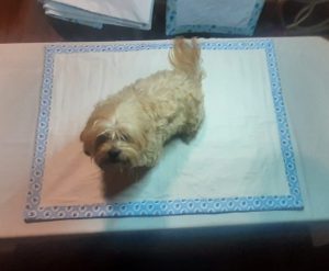 20250606_190147-scaled-e1749344074870